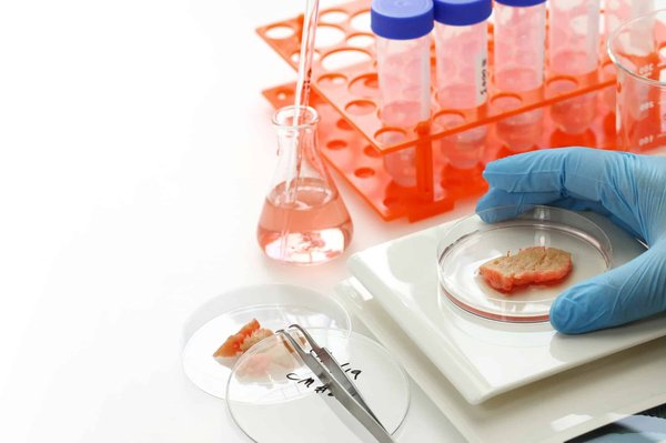 What's the Potential of Lab-Grown Meat in Reducing the Environmental Impact of Livestock Farming?